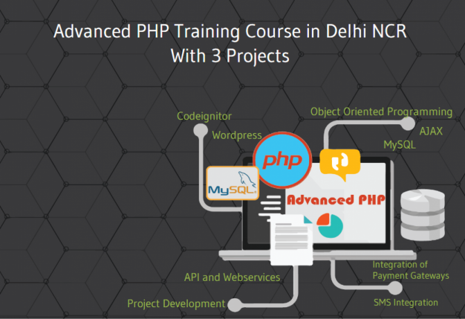 best-php-institute-in-delhi-sla-it-institute-live-project-git-wordpress-laravel-certification-with-100-job-placement-big-0