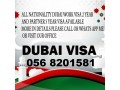tourist-visa-uae-and-free-lance-visa-971568201581-small-0