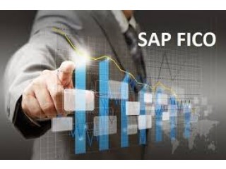 SAP FICO Certification in Delhi, Loni, 100% Job, SLA Institute, Accounting, Tally GST Course by Expert, Summer Offer '23