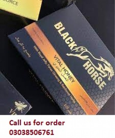 black-horse-vital-honey-price-in-sehwan-03038506761-big-0