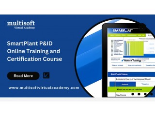 SmartPlant P & ID Online Training and Certification Course