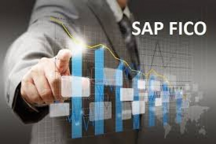 best-institute-for-sap-fico-training-course-in-delhi-noida-gurgaon-with-100-job-guarantee-big-0