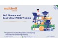 sap-finance-and-controlling-fico-online-training-and-certification-course-small-0