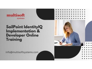 SailPoint IdentityIQ Implementation & Developer Online Training Course
