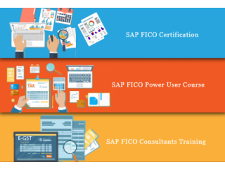 SAP FICO Certification Course in Delhi, Saket, Free Accounting & Finance Certification, Special Independence Offer till Aug'23