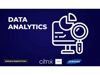 Become a Data Wizard with Our Analytics Course!