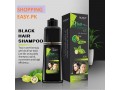 lichen-hair-color-shampoo-price-in-pakistan-03476961149-small-0