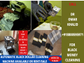 black-dollars-cleaning-machine918800595971-small-0