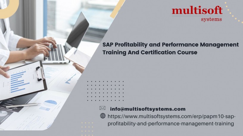 sap-profitability-and-performance-management-papm-online-course-big-0