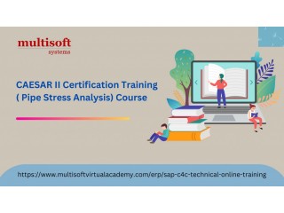 CAESAR II Online Training And Certification