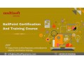 sailpoint-online-training-and-certification-small-0