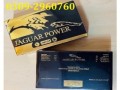 jaguar-power-honey-in-pakistan-0309-2960760-small-1