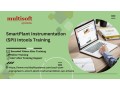 smartplant-instrumentation-spi-intools-online-certification-training-small-0