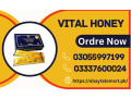 vital-honey-price-in-gujranwala-03055997199-small-0