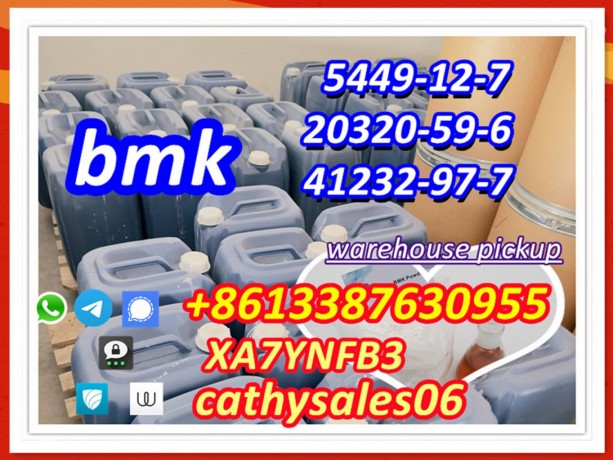 fast-delivery-with-5-days-new-bmk-oil-cas-41232-97-7-diethyl-phenylacetyl-malonate-bmk-supplier-to-nlgeukpl-big-2