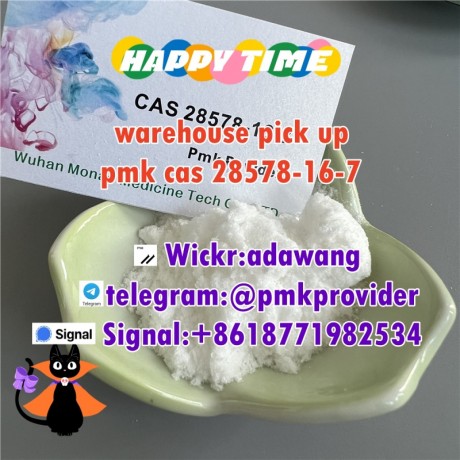 top-quality-of-pmk-powder-cas-28578-16-7-in-stock-big-1