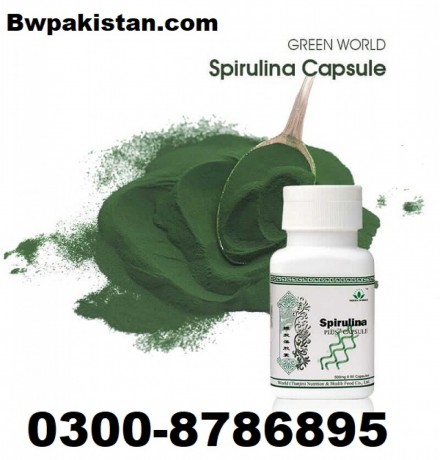 spirulina-plus-capsule-in-sambrial-03008786895-big-0