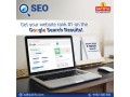 seo-services-india-sathya-technosoft-small-0