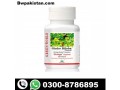 ginkgo-biloba-capsule-price-in-karachi-03008786895-small-0