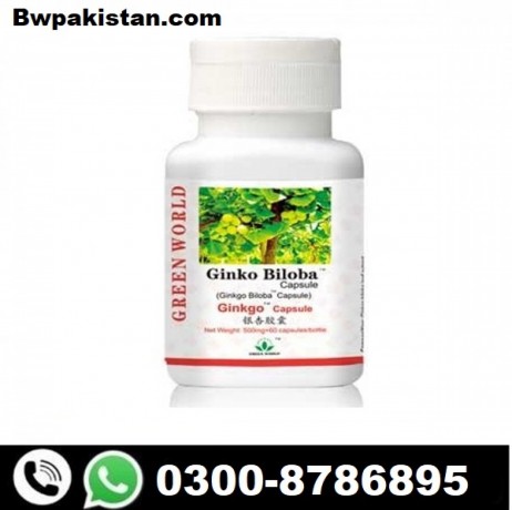 ginkgo-biloba-capsule-price-in-karachi-03008786895-big-0