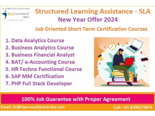 Best Data Analytics Training Course with Placement in Delhi, 2024 Offer 100% Job with Certification, Free Python and OpenAI Course,