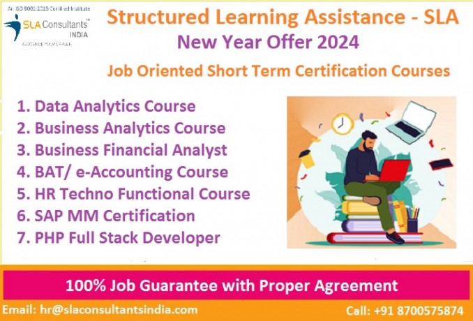 business-analytics-certification-in-delhi-sla-data-analyst-learning-100-job-free-python-power-bi-tableau-training-course-big-0