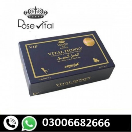 vital-honey-price-in-sambrial-03006682666-orignal-product-big-0