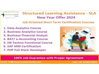 Financial Modeling Course ,100% Financial Analyst Job, Salary Upto 6.5 LPA, SLA, Delhi, Noida, Ghaziabad.
