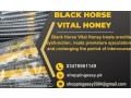 black-horse-vital-honey-price-in-pakistan-small-0
