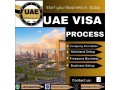 2-years-business-partner-visa-uae-971568201581-small-0