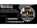 black-horse-vital-honey-price-in-pakistan-small-0