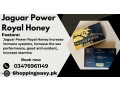 jaguar-power-royal-honey-price-in-pakistan-small-0