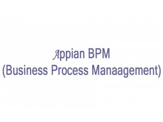 Appian BPM Online Training Coaching Course In India