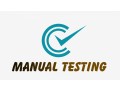 manual-testingonline-training-viswa-online-training-from-hyderabad-small-0