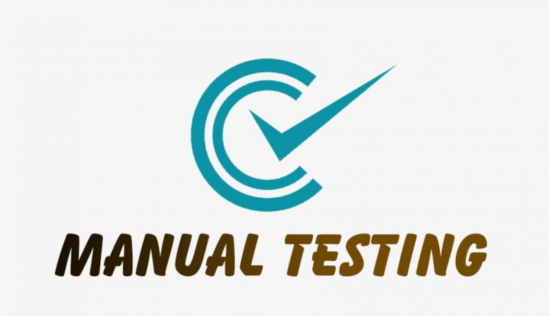 manual-testingonline-training-viswa-online-training-from-hyderabad-big-0