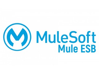 Mulesoft  Online Training in India, US, Canada, UK.