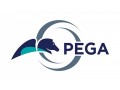 pega-81-csa-cssaonline-training-classes-from-hyderabad-small-0