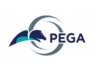 PEGA 8.1 (CSA & CSSA)Online Training Classes From Hyderabad