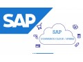 sap-car-customer-activity-repositoryonline-training-institute-from-india-small-0
