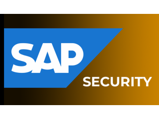 SAP Security Online Training & Certification From India