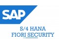 sap-s4-hana-fiori-security-online-training-institute-from-india-small-0