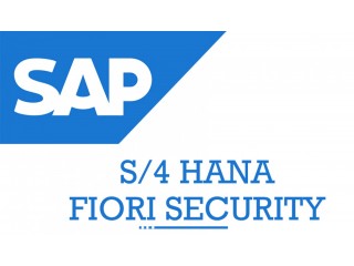 SAP S4 Hana Fiori Security Online Training Institute From India