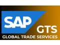sap-gts-online-training-by-viswa-online-trainings-from-hyderabad-india-small-0