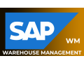 sap-wm-online-training-institute-from-hyderabad-india-small-0