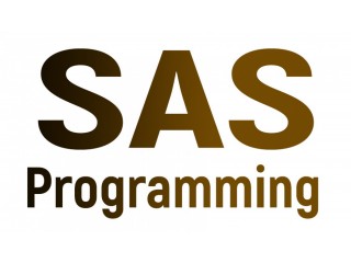 SAS Programming Course Online Training Classes from India ...