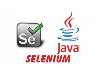 Selenium with Python Online Certification Training Course From In India