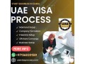 2-years-business-partner-visa-uae-971568201581-small-0