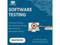 mastering-software-testing-from-theory-to-practice-small-0
