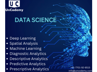 Mastering Data Science: From Data Acquisition to Predictive Insights