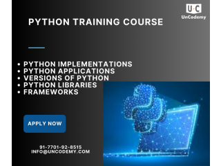 Master Python with the Best Training Course in Thane